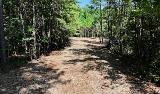 Photo #13 of SOLD property in Off Coon Myrick Rd, Littleton, NC 7.0 acres