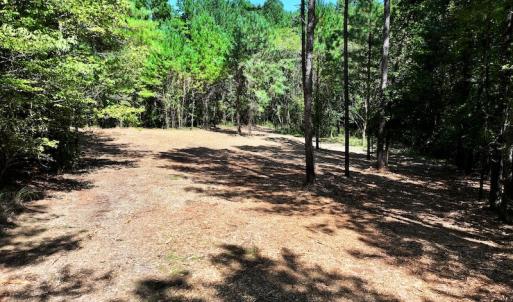 Photo #14 of Off Coon Myrick Rd, Littleton, NC 7.0 acres