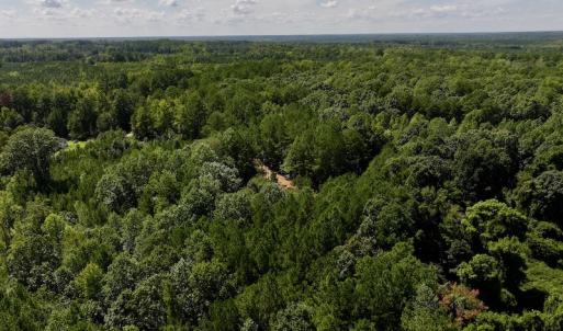 Photo #15 of Off Coon Myrick Rd, Littleton, NC 7.0 acres