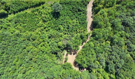Photo #18 of Off Coon Myrick Rd, Littleton, NC 7.0 acres