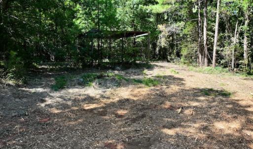 Photo #21 of Off Coon Myrick Rd, Littleton, NC 7.0 acres