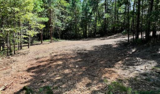 Photo #22 of Off Coon Myrick Rd, Littleton, NC 7.0 acres