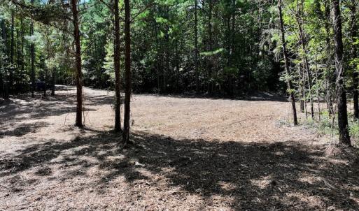 Photo #23 of Off Coon Myrick Rd, Littleton, NC 7.0 acres