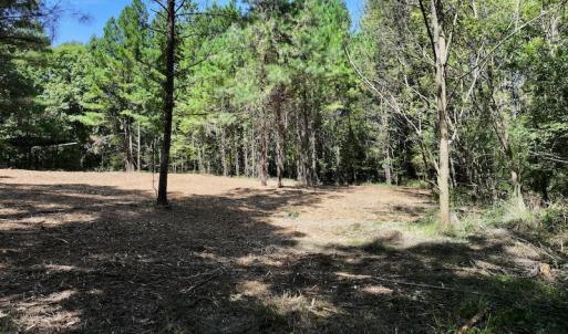 Photo #26 of Off Coon Myrick Rd, Littleton, NC 7.0 acres
