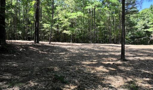 Photo #27 of Off Coon Myrick Rd, Littleton, NC 7.0 acres