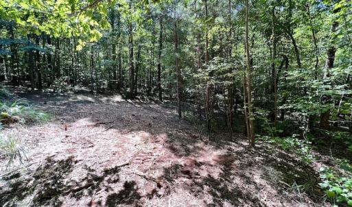 Photo #28 of SOLD property in Off Coon Myrick Rd, Littleton, NC 7.0 acres