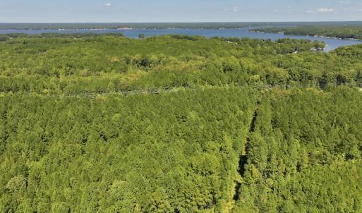 Photo #7 of Off Coon Myrick Rd, Littleton, NC 7.0 acres