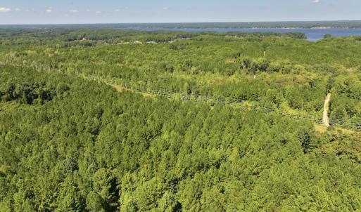 Photo #8 of Off Coon Myrick Rd, Littleton, NC 7.0 acres