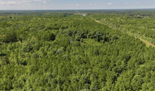 Photo #9 of Off Coon Myrick Rd, Littleton, NC 7.0 acres