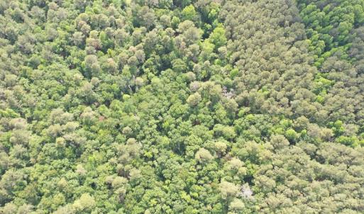Photo #5 of Off N Carolina Highway 58, Kinston, NC 4.4 acres