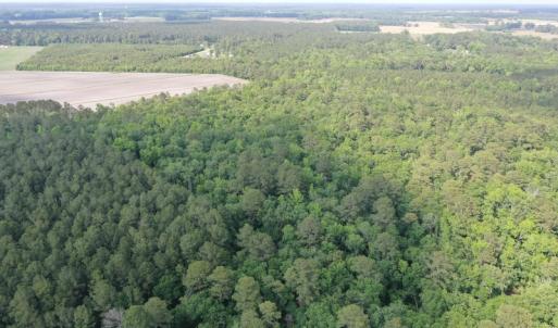 Photo #7 of Off N Carolina Highway 58, Kinston, NC 4.4 acres