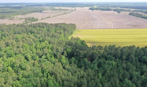 Photo #8 of Off N Carolina Highway 58, Kinston, NC 4.4 acres