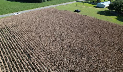 Photo #5 of Off Bailey Road, Fairmont, NC 1.0 acres