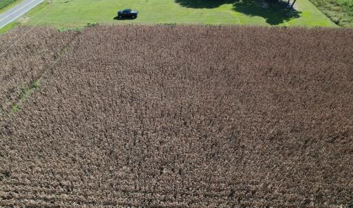 Photo #6 of Off Bailey Road, Fairmont, NC 1.0 acres