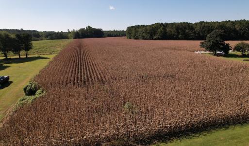 Photo #9 of Off Bailey Road, Fairmont, NC 1.0 acres