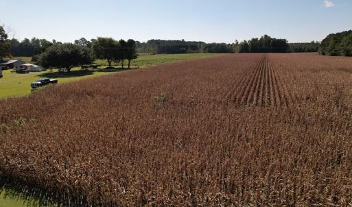Photo #10 of Off Bailey Road, Fairmont, NC 1.0 acres