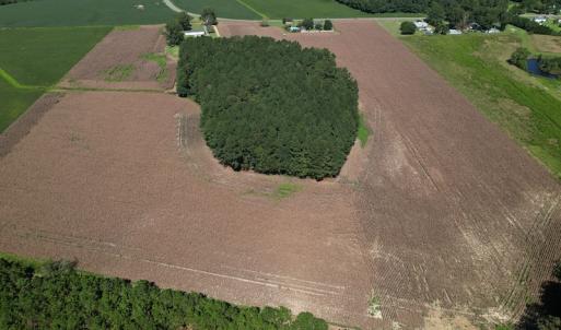 Photo #2 of Off Bailey Road, Fairmont, NC 29.1 acres