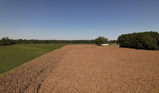 Photo #11 of Off Bailey Road, Fairmont, NC 29.1 acres