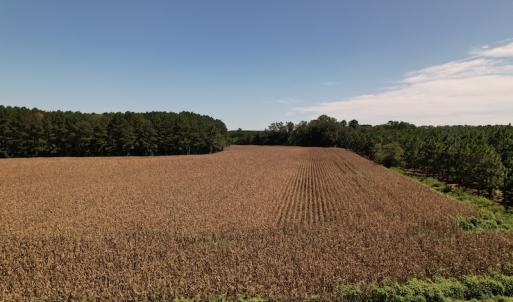 Photo #13 of Off Bailey Road, Fairmont, NC 29.1 acres