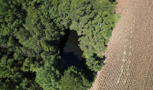 Photo #16 of Off Bailey Road, Fairmont, NC 29.1 acres