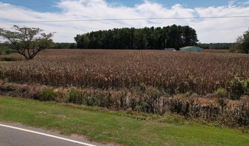 Photo #17 of Off Bailey Road, Fairmont, NC 29.1 acres