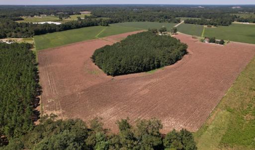 Photo #3 of Off Bailey Road, Fairmont, NC 29.1 acres