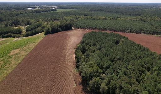Photo #5 of Off Bailey Road, Fairmont, NC 29.1 acres