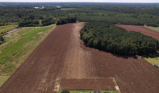Photo #6 of Off Bailey Road, Fairmont, NC 29.1 acres