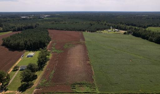 Photo #8 of Off Bailey Road, Fairmont, NC 29.1 acres