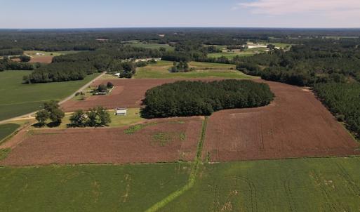 Photo #9 of Off Bailey Road, Fairmont, NC 29.1 acres