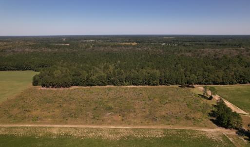 Photo #2 of Off Macedonia Church Road, Evergreen, NC 39.7 acres