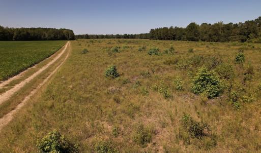 Photo #11 of SOLD property in Off Macedonia Church Road, Evergreen, NC 39.7 acres