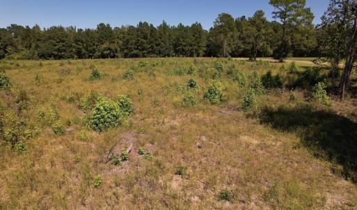 Photo #13 of SOLD property in Off Macedonia Church Road, Evergreen, NC 39.7 acres