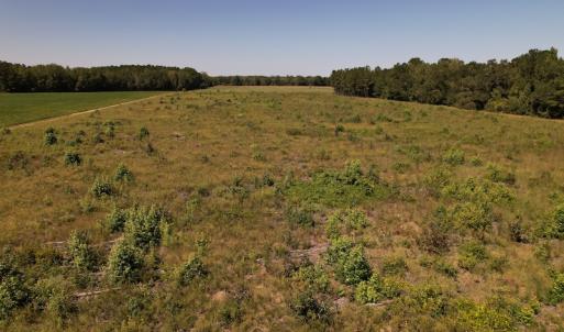 Photo #14 of Off Macedonia Church Road, Evergreen, NC 39.7 acres