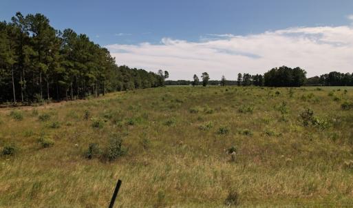 Photo #15 of Off Macedonia Church Road, Evergreen, NC 39.7 acres