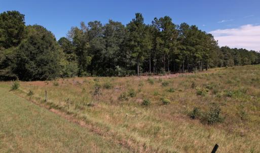 Photo #16 of SOLD property in Off Macedonia Church Road, Evergreen, NC 39.7 acres