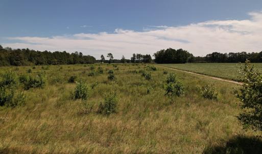 Photo #17 of Off Macedonia Church Road, Evergreen, NC 39.7 acres