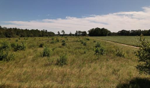 Photo #17 of SOLD property in Off Macedonia Church Road, Evergreen, NC 39.7 acres