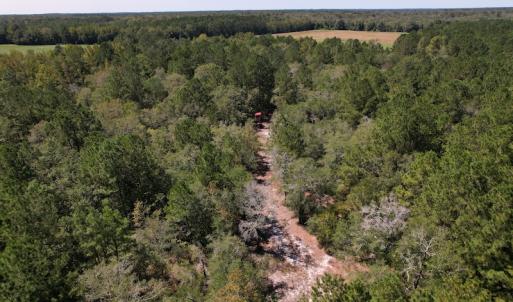 Photo #18 of Off Macedonia Church Road, Evergreen, NC 39.7 acres