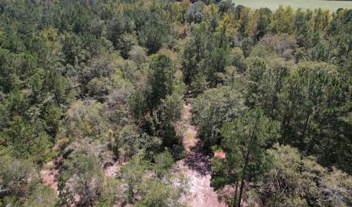 Photo #19 of SOLD property in Off Macedonia Church Road, Evergreen, NC 39.7 acres