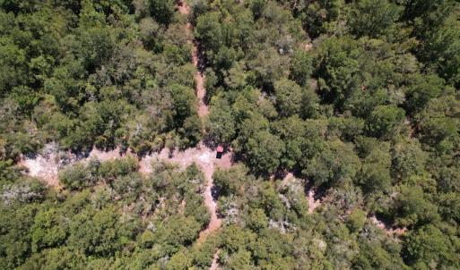 Photo #20 of Off Macedonia Church Road, Evergreen, NC 39.7 acres