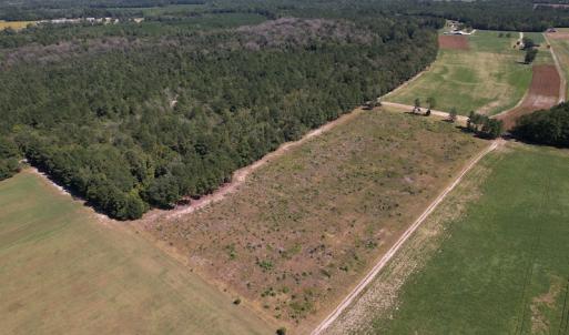 Photo #3 of Off Macedonia Church Road, Evergreen, NC 39.7 acres