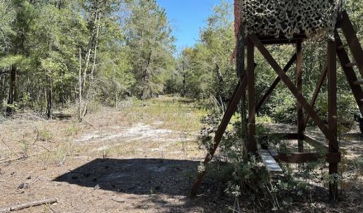 Photo #28 of Off Macedonia Church Road, Evergreen, NC 39.7 acres