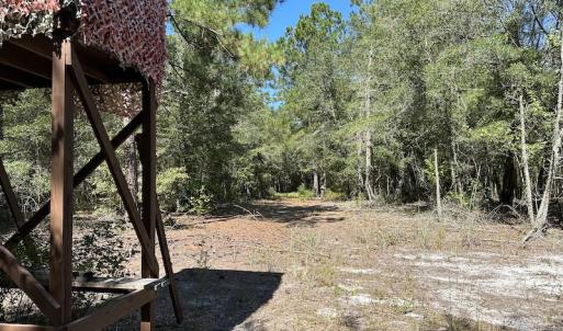 Photo #29 of Off Macedonia Church Road, Evergreen, NC 39.7 acres