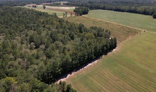Photo #4 of Off Macedonia Church Road, Evergreen, NC 39.7 acres