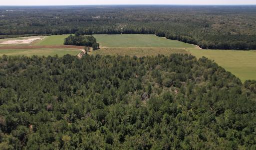 Photo #5 of Off Macedonia Church Road, Evergreen, NC 39.7 acres