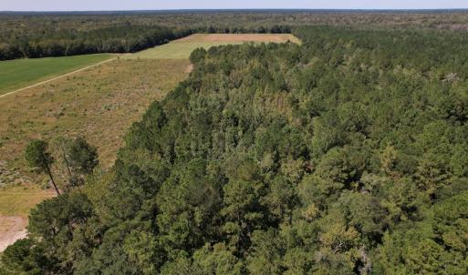 Photo #6 of SOLD property in Off Macedonia Church Road, Evergreen, NC 39.7 acres