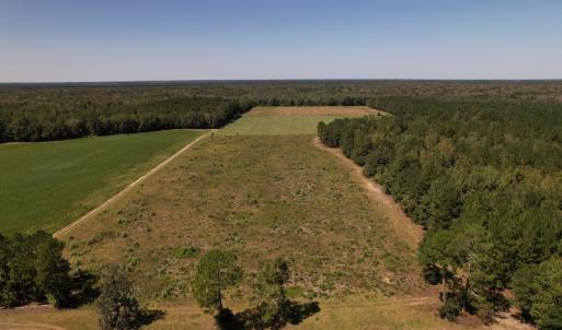 Photo #7 of Off Macedonia Church Road, Evergreen, NC 39.7 acres
