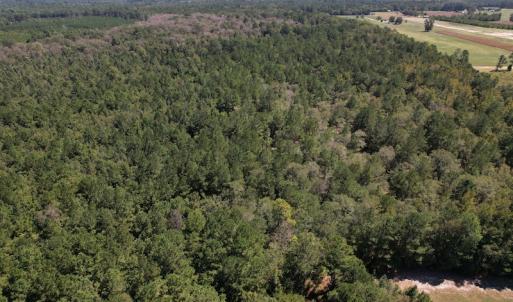 Photo #8 of Off Macedonia Church Road, Evergreen, NC 39.7 acres