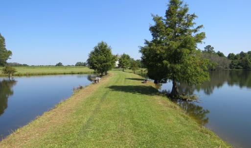 Photo #10 of 686 N. Broadridge Rd, Orrum, NC 24.0 acres